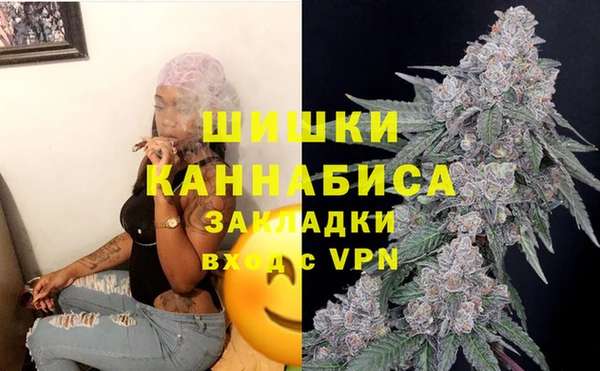 дживик Абаза