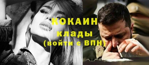 амф Алексин
